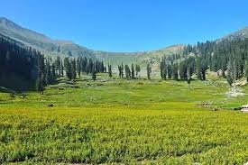 Taip Banda Mankial Swat