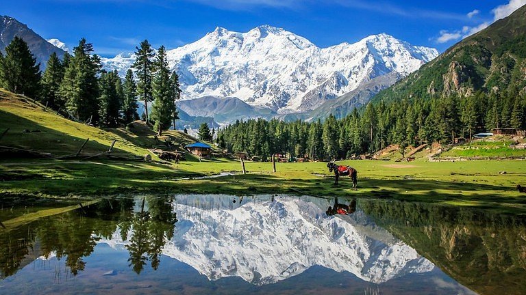 Fairy Meadows