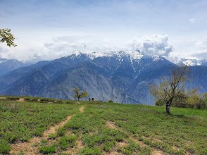 Chitral Gol National Park