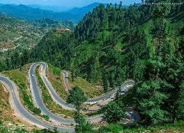 Shangla Top