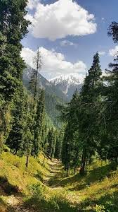 Dad Sar Miandam swat valley