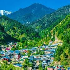 Shangla Top