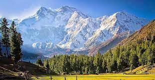 Fairy Meadows